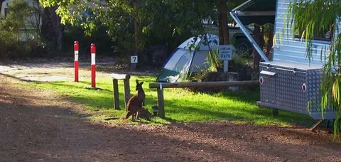 Aroundtu-It Eco Caravan Park - Accommodation Sunshine Coast 5