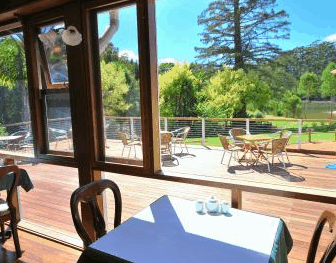 Forest Lodge Resort - Accommodation Sunshine Coast 2
