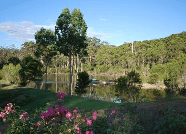 Forest Lodge Resort - thumb 3