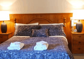 Forest Lodge Resort - Accommodation Sunshine Coast 4