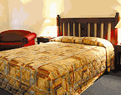 Comfort Inn Treetop Walk - Accommodation Sunshine Coast 2