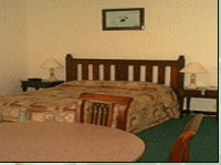 Comfort Inn Treetop Walk - Accommodation Sunshine Coast 3
