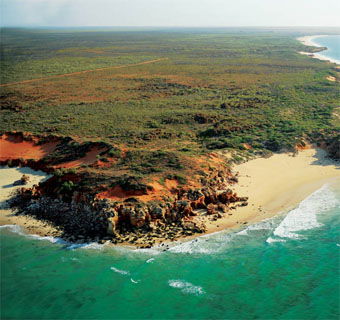 Eco Beach Wilderness Retreat - Accommodation Sunshine Coast 2