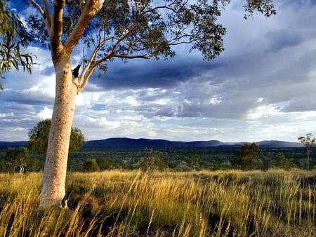 Karijini Eco Retreat - Accommodation Sunshine Coast 5