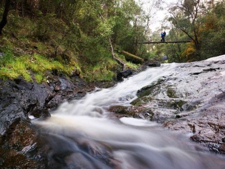 Karri Valley Resort - Accommodation Sunshine Coast 2
