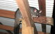 Pemberton  Forrest Cottages  - thumb 0