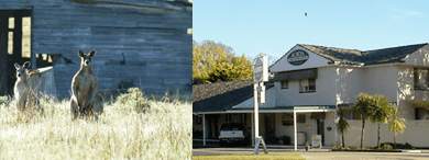 Acacia Motor Inn - Accommodation Sunshine Coast 5