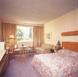 Country Comfort Armidale - Accommodation Sunshine Coast 3
