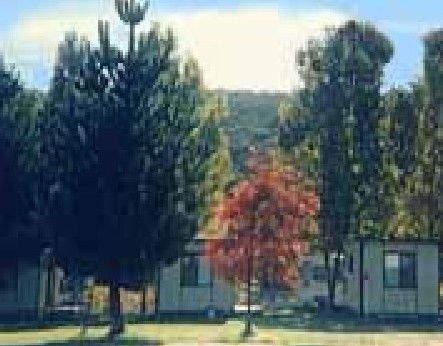 Anglers Reach Caravan Park - Accommodation Sunshine Coast 0