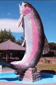Anglers Reach Caravan Park - Accommodation Sunshine Coast 3