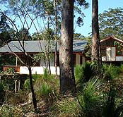 Grass Trees Escape