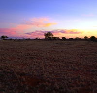 Wogarno Homestead - Accommodation Sunshine Coast