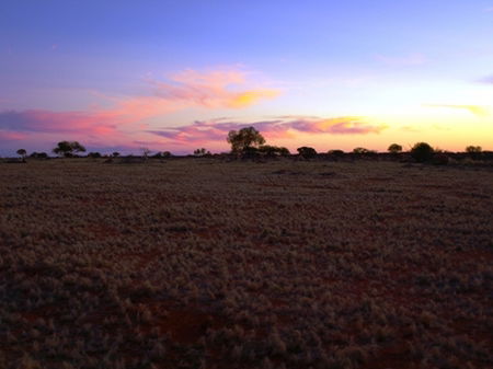 Wogarno Homestead - Accommodation Sunshine Coast 0