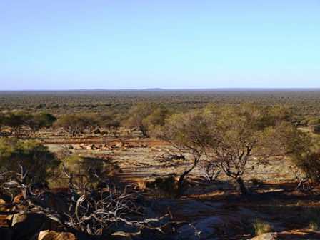 Wogarno Homestead - Accommodation Sunshine Coast 2