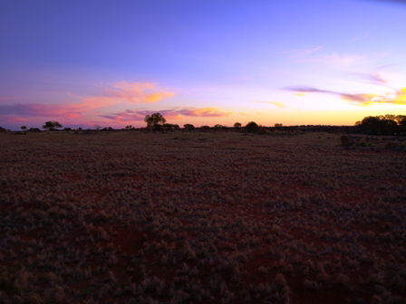 Wogarno Homestead - Accommodation Sunshine Coast 4