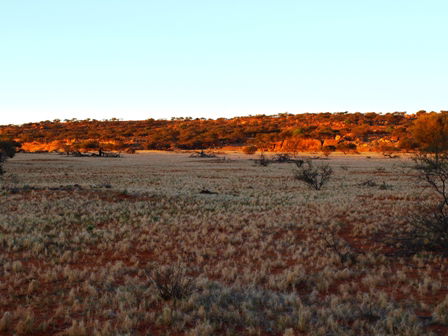 Wogarno Homestead - Accommodation Sunshine Coast 5