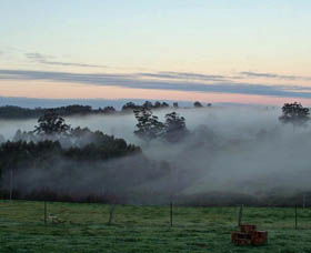 Pump Hill Farm Cottages - Accommodation Sunshine Coast 1