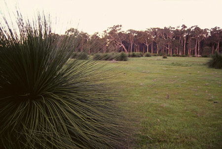 Caves Road Chalets - Accommodation Sunshine Coast 1