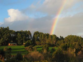 Pemberton Lavender And Berry Farm Cafe And Cottages - Accommodation Sunshine Coast 3