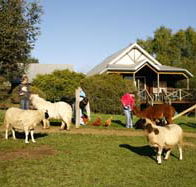 Sunnyhurst Chalets - Accommodation Sunshine Coast