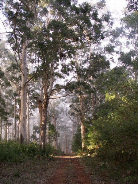 Warren River Cottages - Accommodation Sunshine Coast 2
