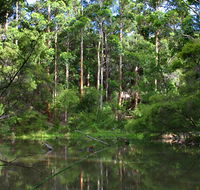 Peppermint Grove Retreat - Accommodation Sunshine Coast