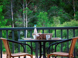 Peppermint Grove Retreat - Accommodation Sunshine Coast 2