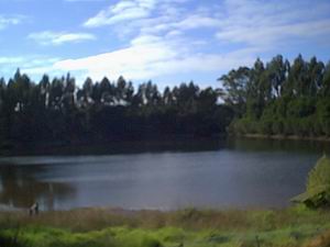 Jenny's Lake Farm B&B - Accommodation Sunshine Coast 5