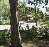 Peaceful Bay Bed and Breakfast - Accommodation Sunshine Coast