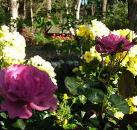 Ford House Retreat - Accommodation Sunshine Coast