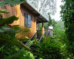 Milkwood Lodge - Accommodation Sunshine Coast 2