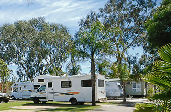 Perth Central Caravan Park - Accommodation Sunshine Coast 2