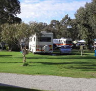 Pinjarra Caravan Park - Accommodation Sunshine Coast
