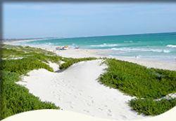 Trigg Retreat Bed And Breakfast - Accommodation Sunshine Coast 5