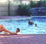 Shark Bay Caravan Park - Accommodation Sunshine Coast