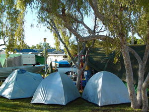 Ningaloo Caravan And Holiday Resort - Accommodation Sunshine Coast 2