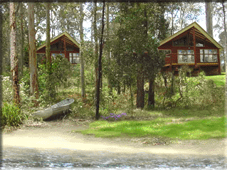 Bewong River Retreat - Accommodation Sunshine Coast 4