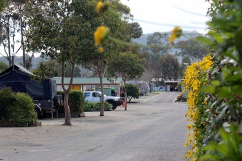 Albury All Seasons Tourist Park - Accommodation Sunshine Coast 0