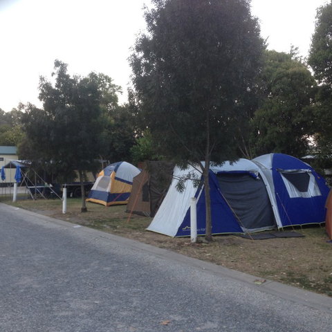 Albury All Seasons Tourist Park - Accommodation Sunshine Coast 9