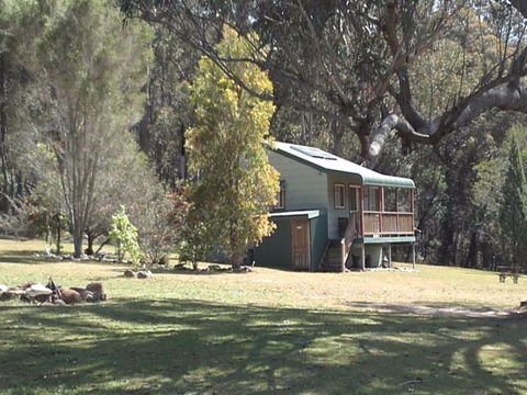 Bhundoo Bush Cottages - Accommodation Sunshine Coast 2
