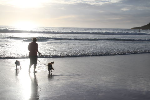 BIG4 South Durras Holiday Park - Accommodation Sunshine Coast 1