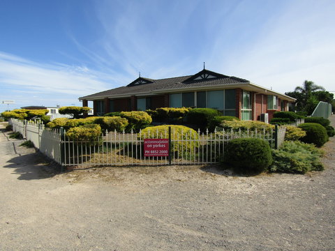 Blue Sea Dragon - Accommodation Sunshine Coast 0