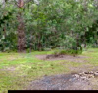 Blue Gum Flat campground - Accommodation Sunshine Coast