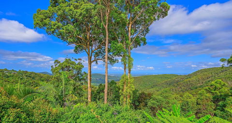 Cloud 9 Cliff Top Eagle Heights - Accommodation Sunshine Coast 1