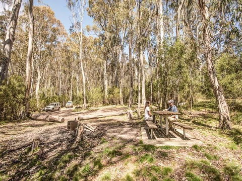 Coree Campground - Accommodation Sunshine Coast 0