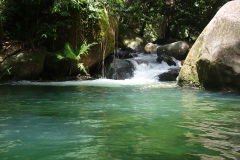 Daintree Secrets Rainforest Sanctuary - Accommodation Sunshine Coast 0