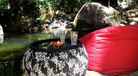 Daintree Secrets Rainforest Sanctuary - Accommodation Sunshine Coast 1
