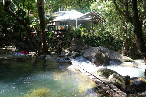 Daintree Secrets Rainforest Sanctuary - Accommodation Sunshine Coast 2