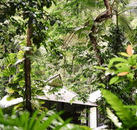 Daintree Ecolodge - Accommodation Sunshine Coast