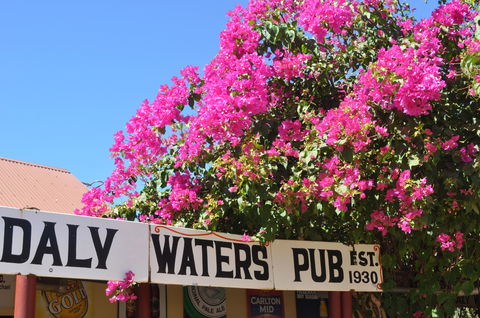 Daly Waters Historic Pub - Accommodation Sunshine Coast 0